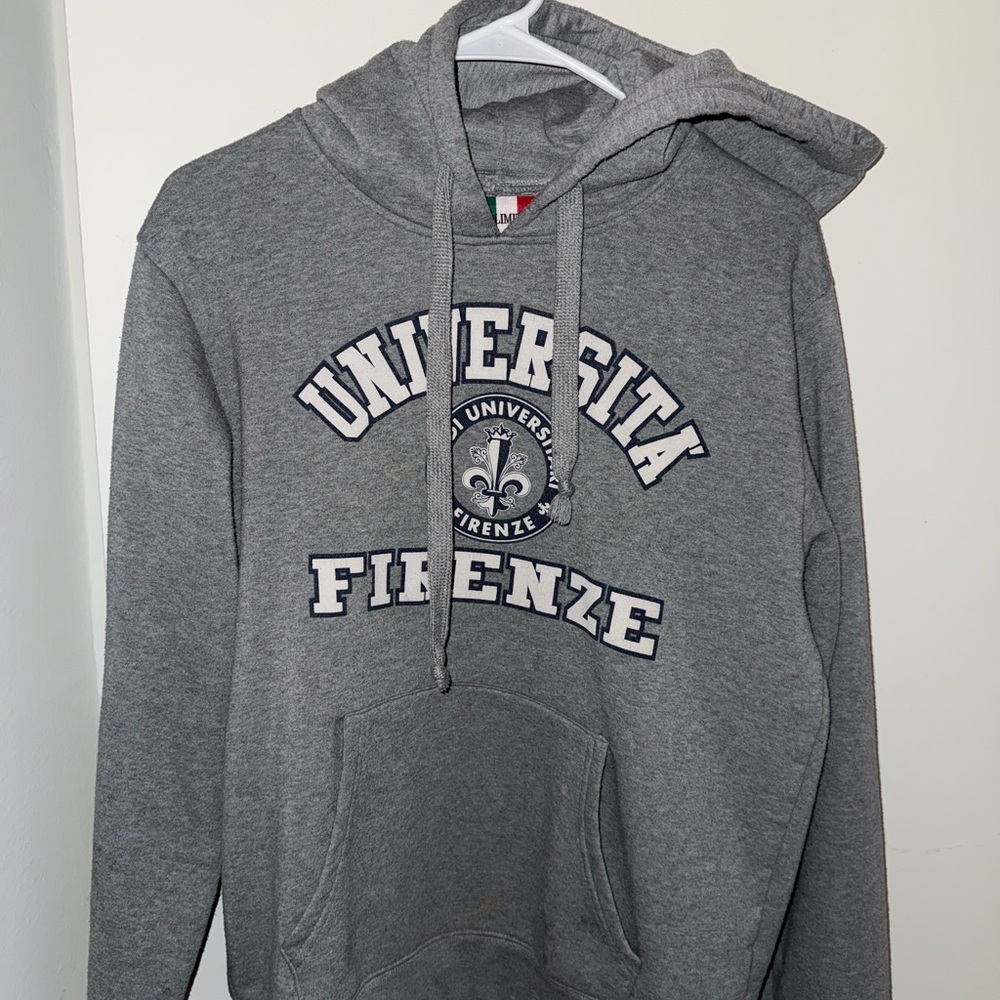 The Limited Gray Università Firenze Hoodie